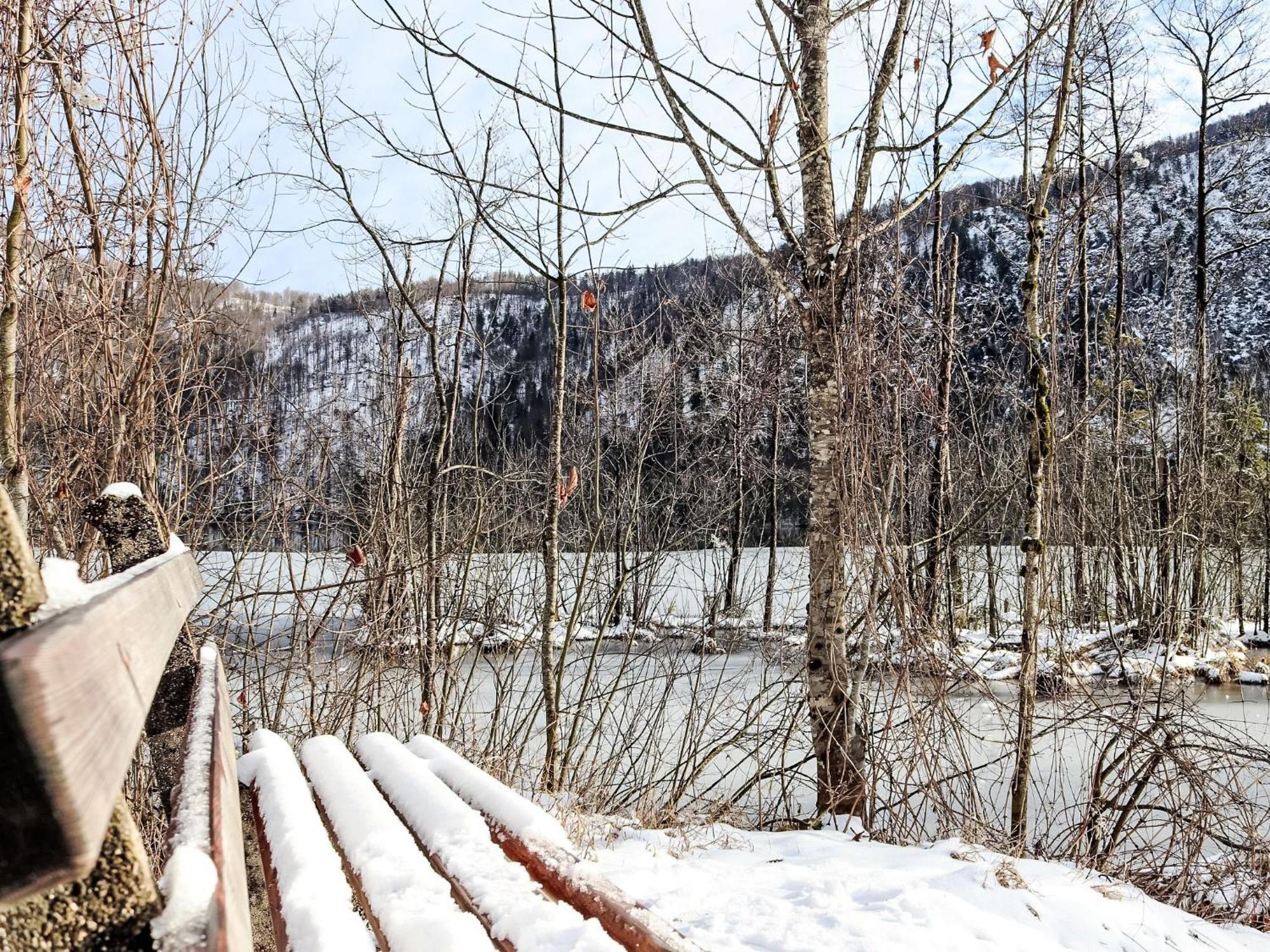 Apartment Fuchsbau-Top 2 By Interhome Grünau im Almtal Екстериор снимка